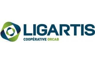 Ligartis